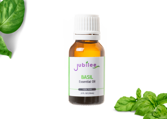 Basil Essential Oil